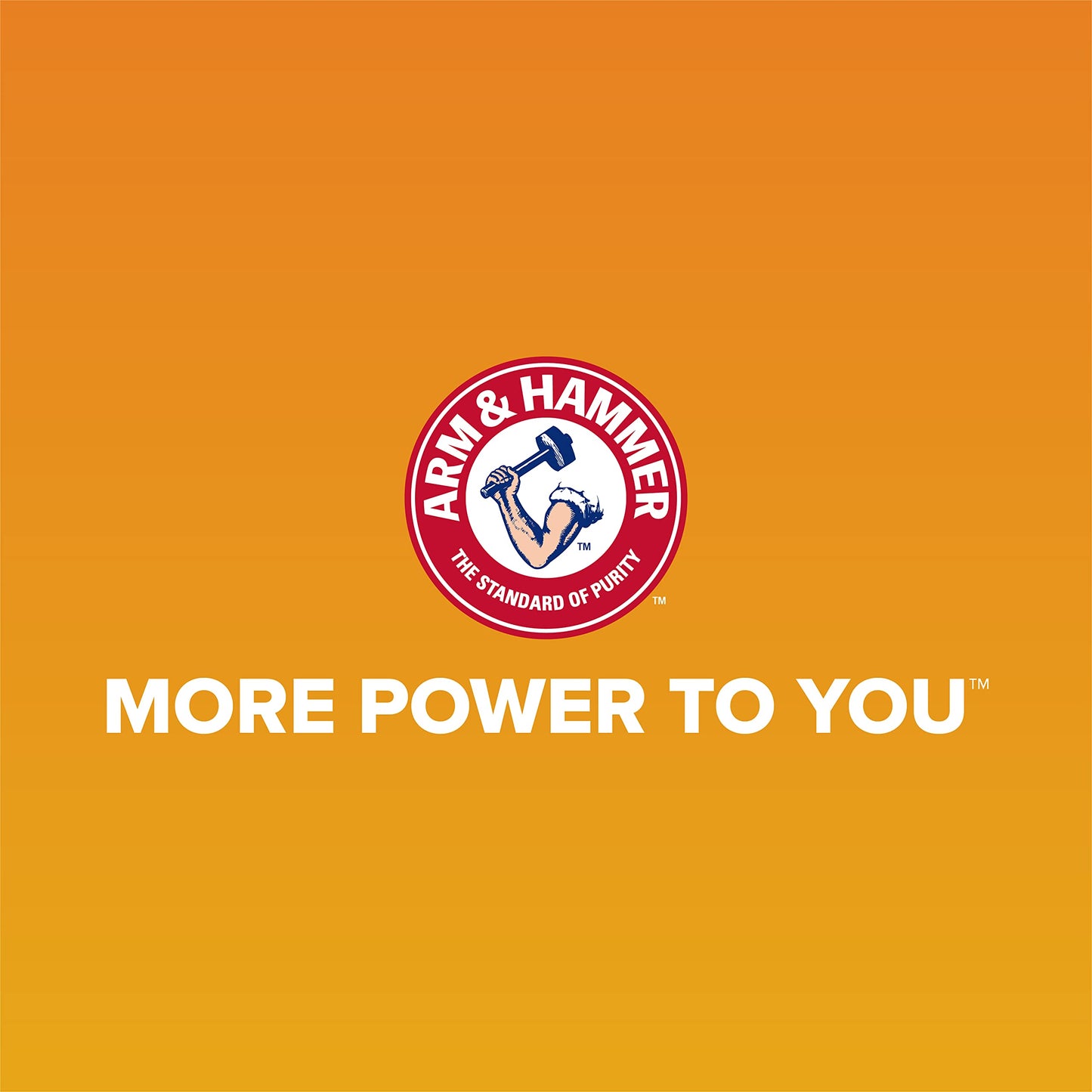 Arm & Hammer Cat Boxes for Indoor Cats with Microban, Sifting Litter Box, Scoop Free Cat Litter Tray, USA Made