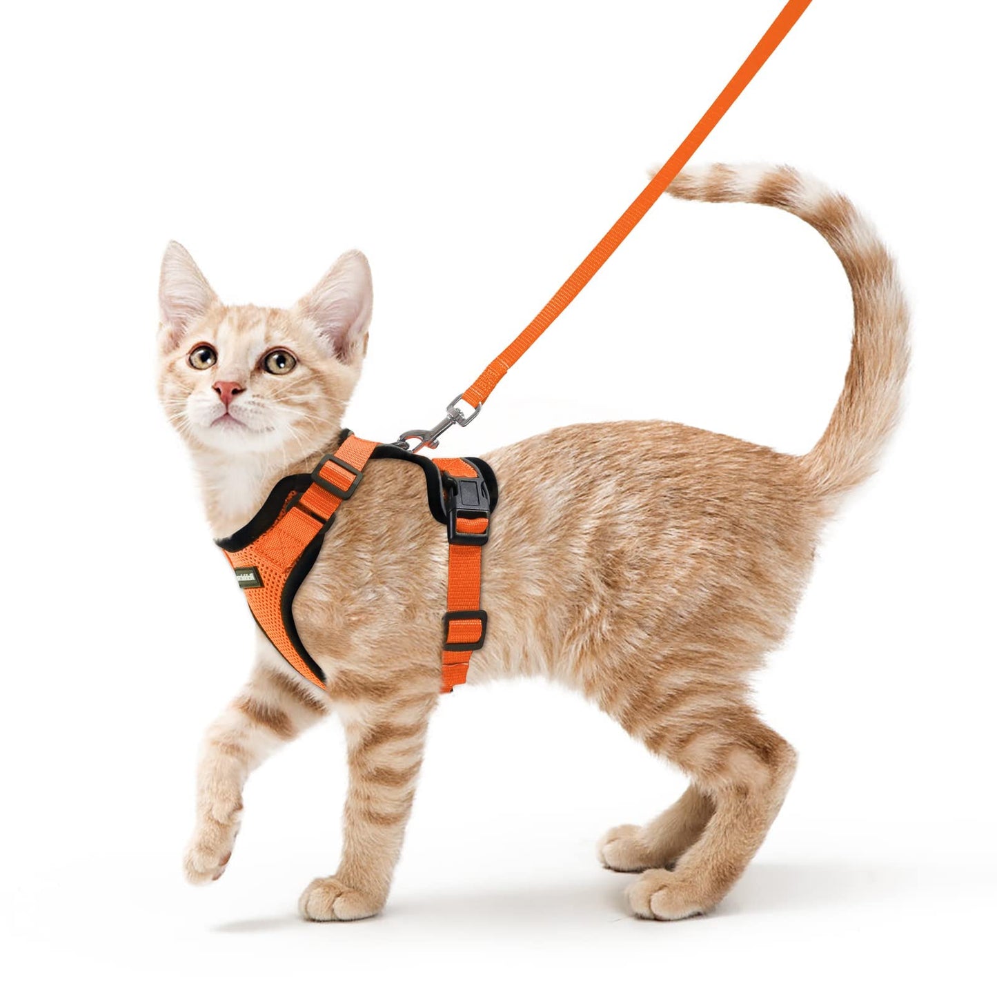 rabbitgoo Cat Harness and Leash for Walking, Escape Proof Soft Adjustable Vest Harnesses for Cats, Easy Control Breathable Reflective Strips Jacket, Black, XS