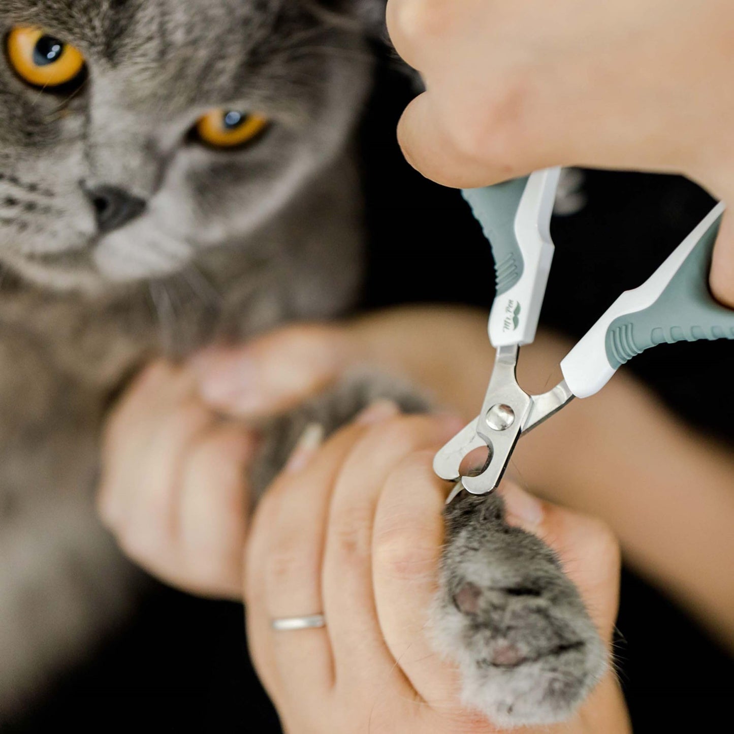 Mr. Pen- Cat Nail Clipper, Kitten Nail Trimmers, Pet Nail Cutter