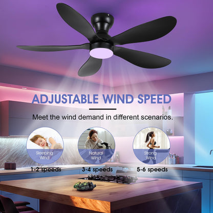 Ceiling Fans with Lights and Remote/APP Control, 30 inch Low Profile Ceiling Fans with 5 Reversible Blades 3 Colors Dimmable 6 Speeds Ceiling Fan for Bedroom Kids Room Dining Room, Black