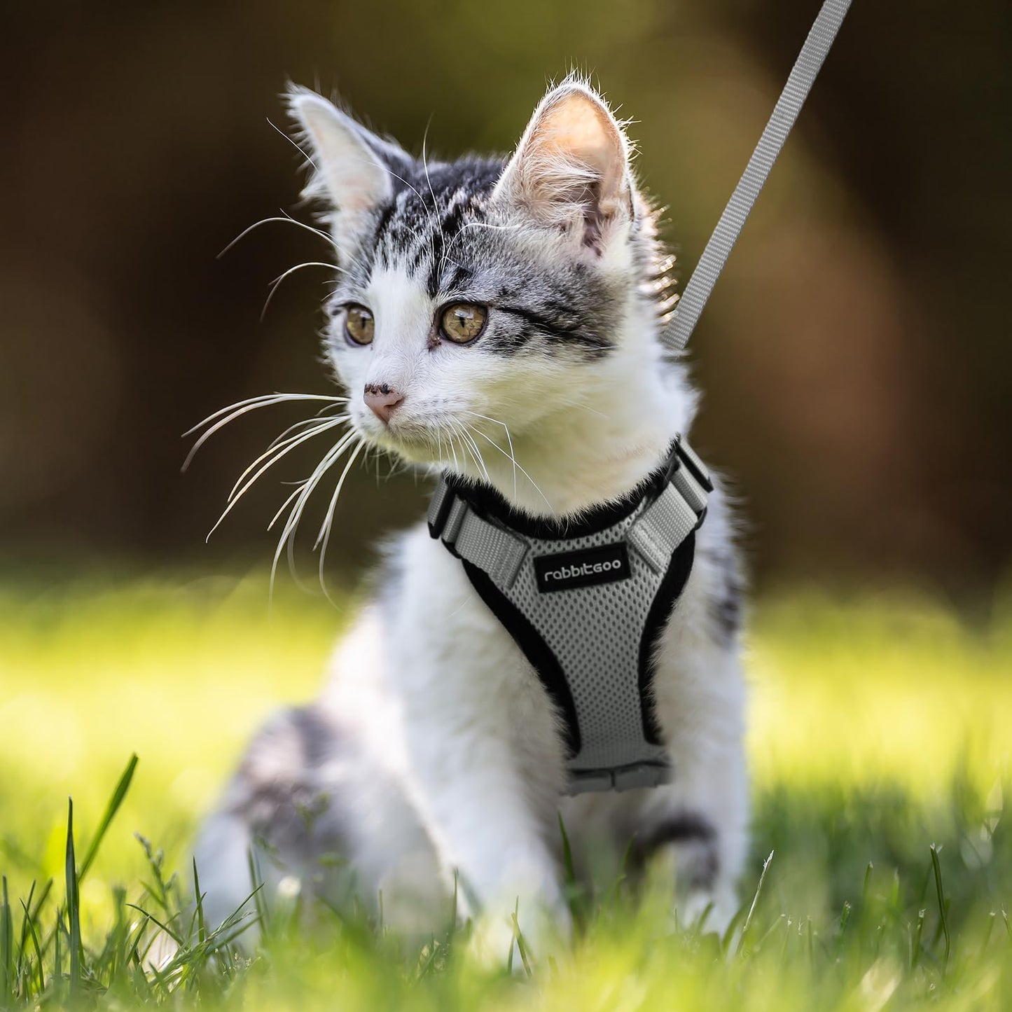 rabbitgoo Cat Harness and Leash for Walking, Escape Proof Soft Adjustable Vest Harnesses for Cats, Easy Control Breathable Reflective Strips Jacket, Black, XS