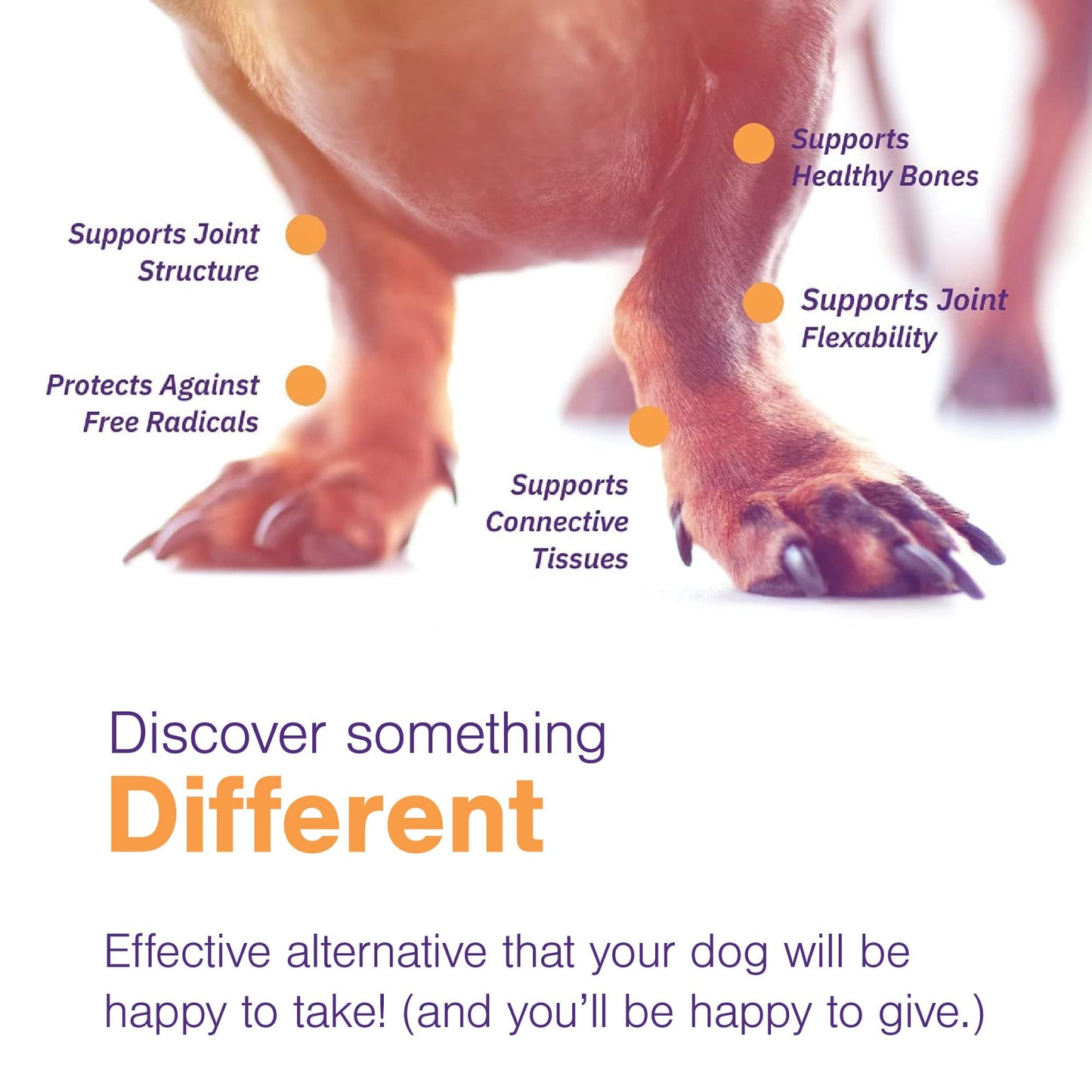 Advanced Soft Chews Hip Joint Support Supplement for Large Dogs- 60 Count by Virbac