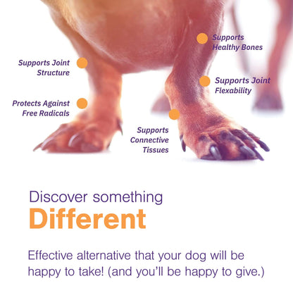 Advanced Soft Chews Hip Joint Support Supplement for Large Dogs- 60 Count by Virbac