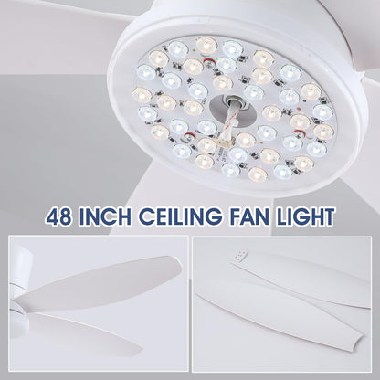 Ceiling Fans with Lights-36 Low Profile Ceiling Fan with Light and Remote/APP Control,Flush Mount,DC Reversible,LED Dimmable Blakc Ceiling Fans for Bedroom,Indoor/Outdoor Patio Use