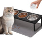 Upgraded Elevated Cat Bowls with Food Mat,15°Tilted Stand Anti Vomiting Raised Cat Dishes for Food and Water,2 Stainless Steel Bowls for Cats and Puppy