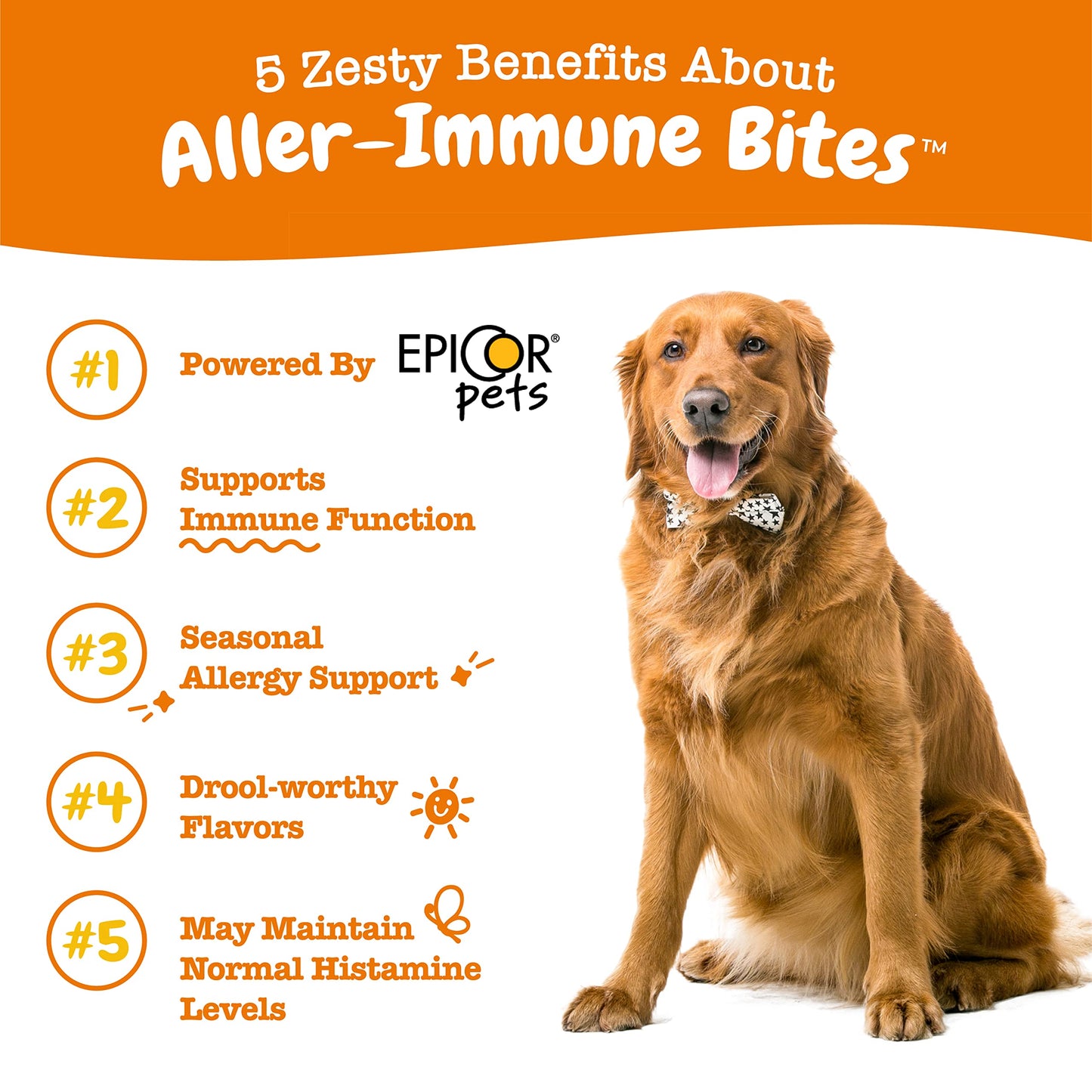 Suplemento inmune a las alergias para perros - Con Omega 3 Aceite de salmón salvaje de Alaska y EpiCor + Prebióticos y probióticos digestivos - Alergias estacionales + Anti picor y puntos calientes Apoyo a la piel - 90 masticables Golosinas