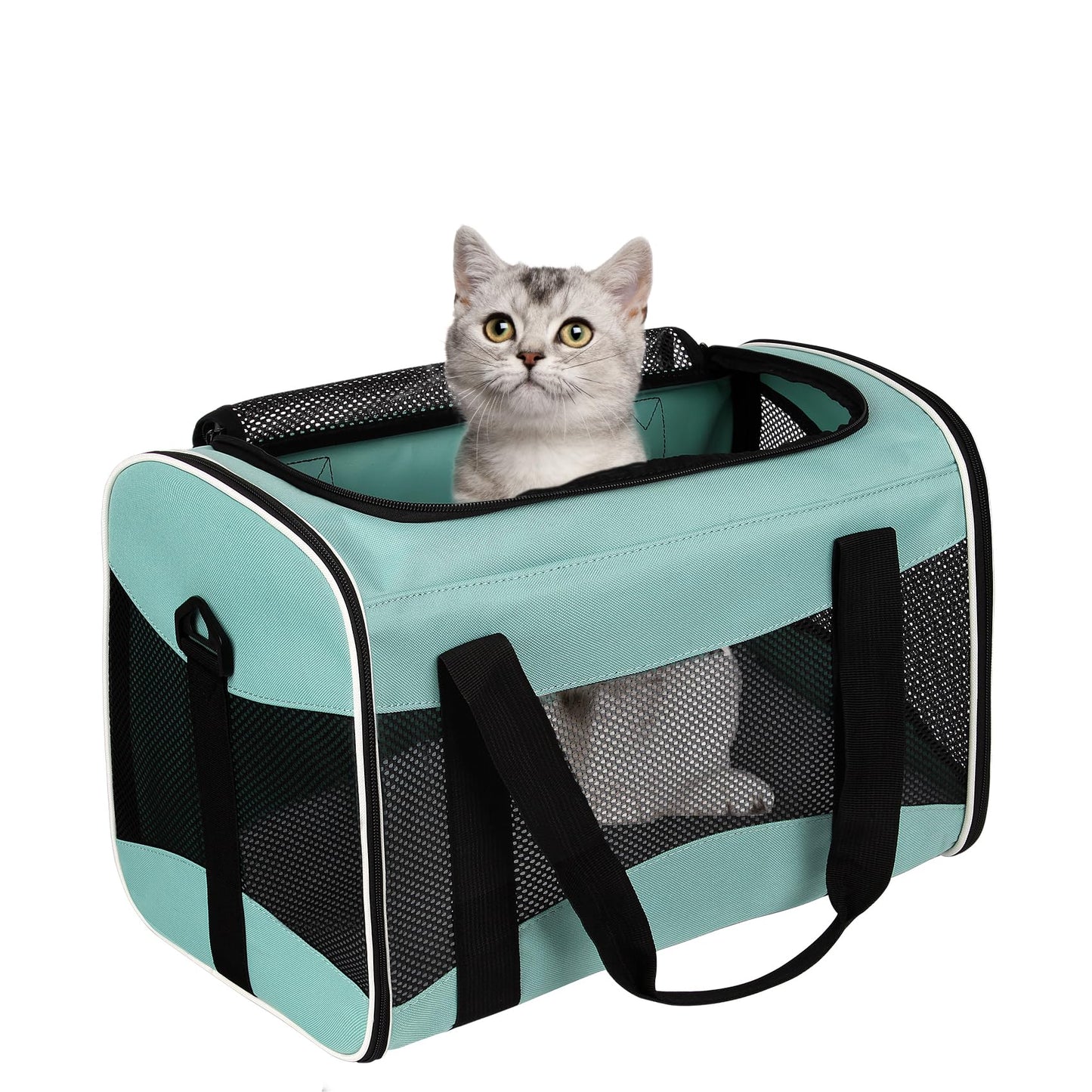 Cat Carrying Case Pet Dog Carrier Soft-Sided Cat Bag Airline Approved, Pet Travel Carrier Up to 15 Lbs, Collapsible Cat Carrier Dog Carrier for Medium Cats Small Cats Dogs(17x11x11 Green)