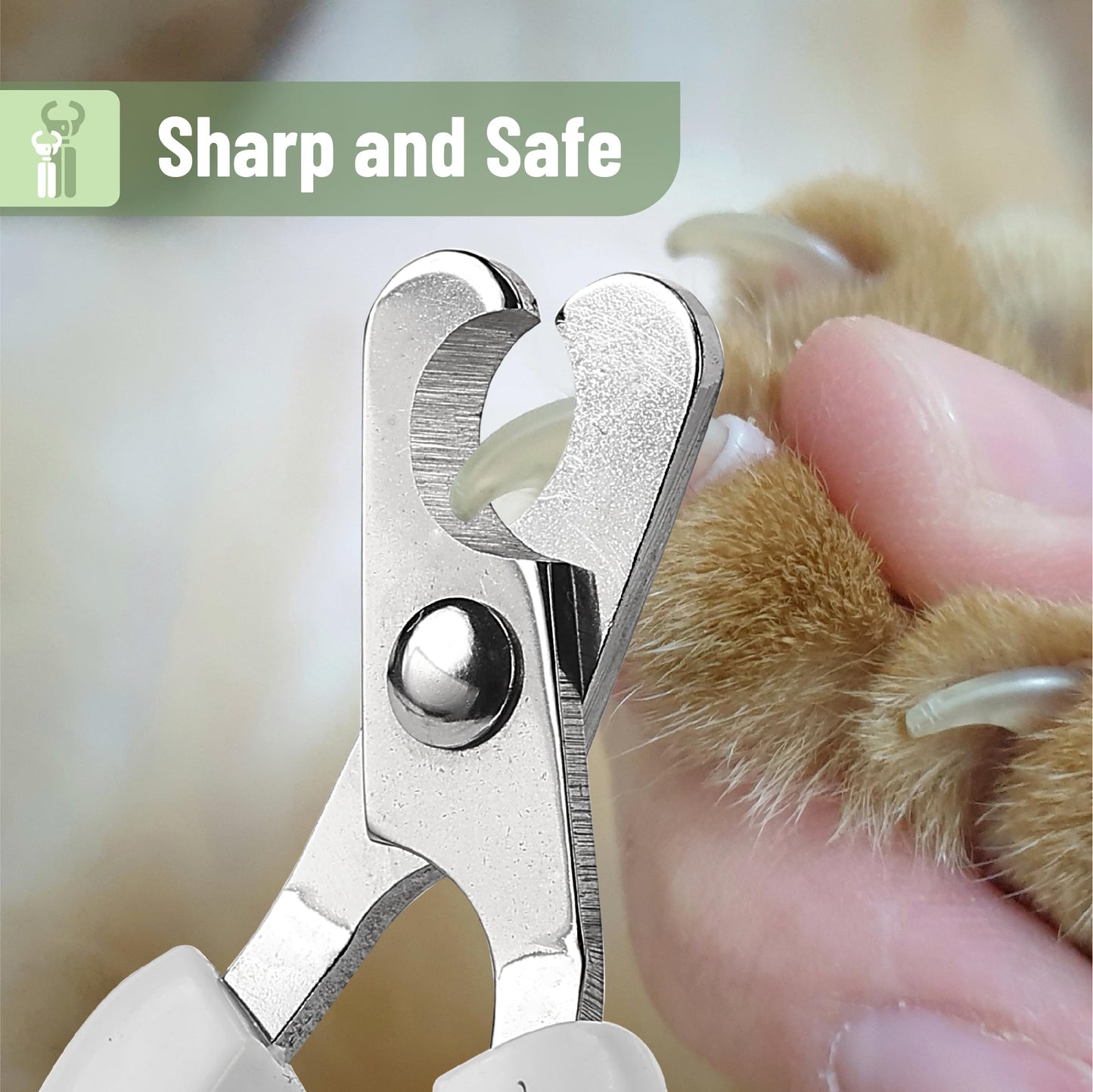 Mr. Pen- Cat Nail Clipper, Kitten Nail Trimmers, Pet Nail Cutter