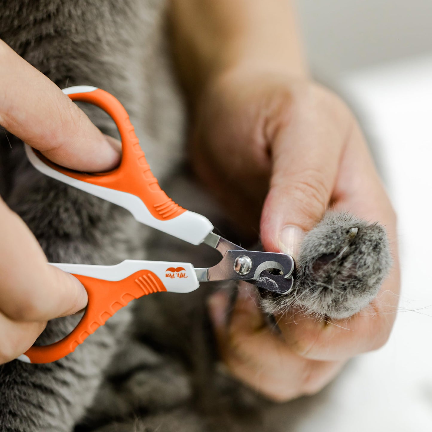 Mr. Pen- Cat Nail Clipper, Kitten Nail Trimmers, Pet Nail Cutter