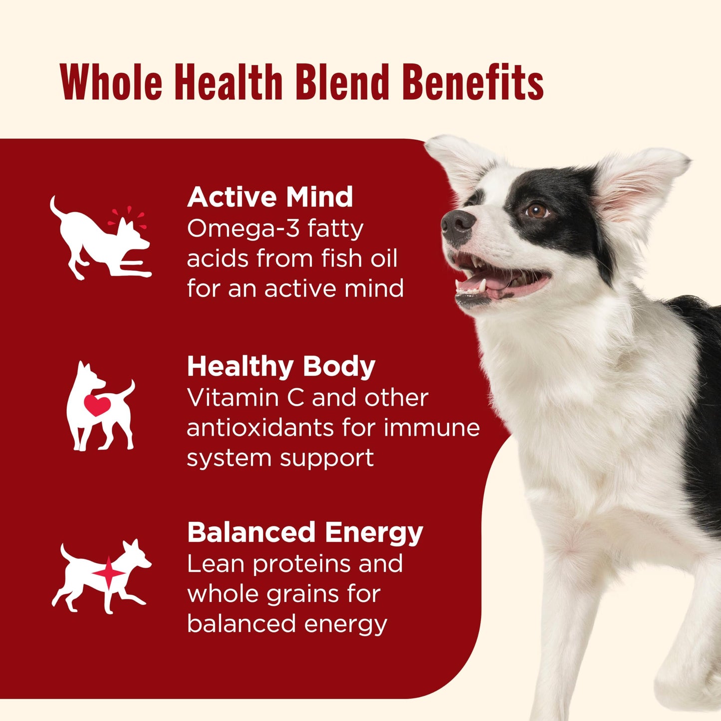 Nutrish Real Beef, Pea & Brown Rice Recipe Whole Health Blend Dry Dog Food, 40 lb. Bag, Packaging May Vary (Rachael Ray)