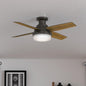 Fan Dempsey Low Profile Ceiling Fans with Lights and Remote, Flush