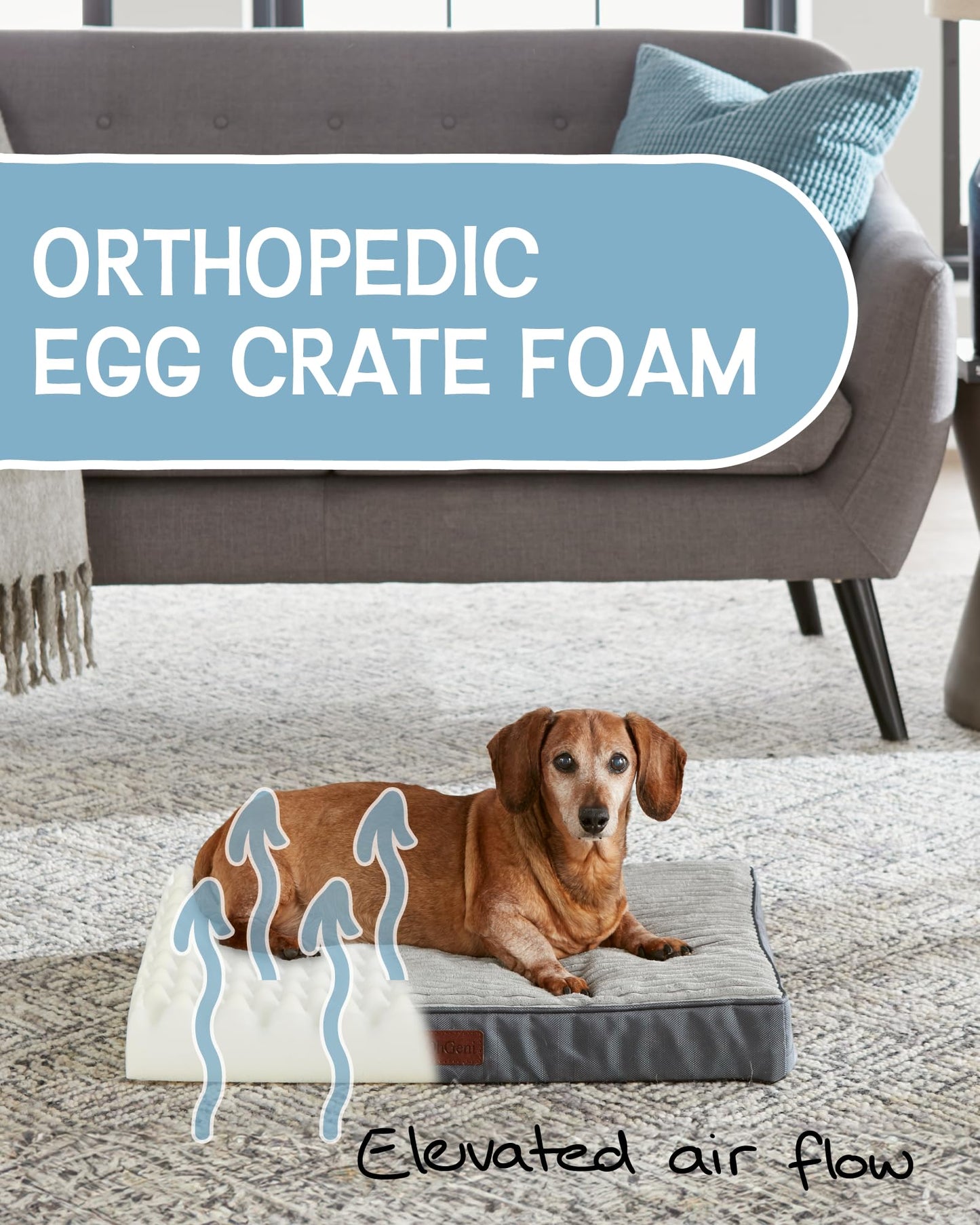 OhGeni 35 Inch Orthopedic Waterproof & Machine Washable Dog Bed for Medium Large Pets, 20D Egg Crate Foam Stable Support, Non-Slip Bottom and Removable Cover, Tear-Resistant Invisible Zipper(Gray)