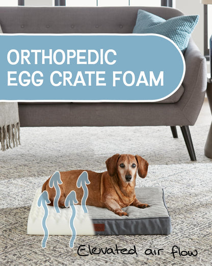OhGeni 35 Inch Orthopedic Waterproof & Machine Washable Dog Bed for Medium Large Pets, 20D Egg Crate Foam Stable Support, Non-Slip Bottom and Removable Cover, Tear-Resistant Invisible Zipper(Gray)