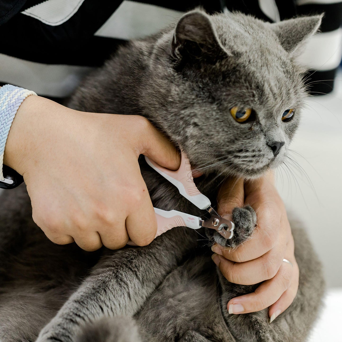 Mr. Pen- Cat Nail Clipper, Kitten Nail Trimmers, Pet Nail Cutter
