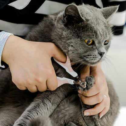 Mr. Pen- Cat Nail Clipper, Kitten Nail Trimmers, Pet Nail Cutter