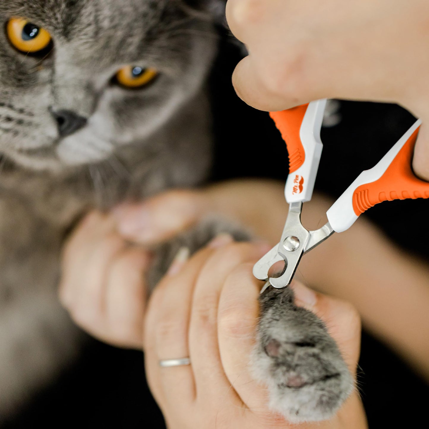 Mr. Pen- Cat Nail Clipper, Kitten Nail Trimmers, Pet Nail Cutter