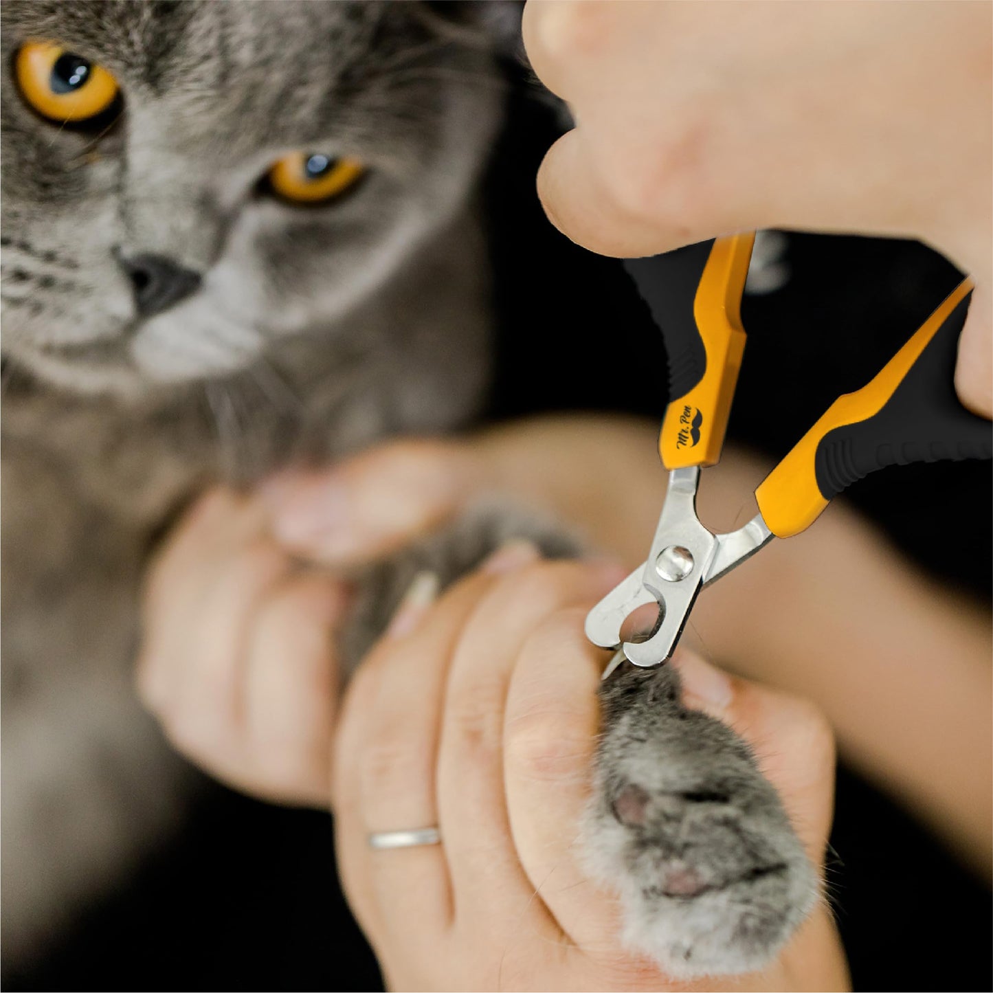 Mr. Pen- Cat Nail Clipper, Kitten Nail Trimmers, Pet Nail Cutter
