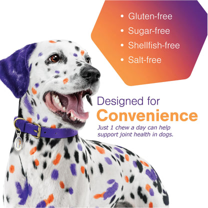 Advanced Soft Chews Hip Joint Support Supplement for Large Dogs- 60 Count by Virbac