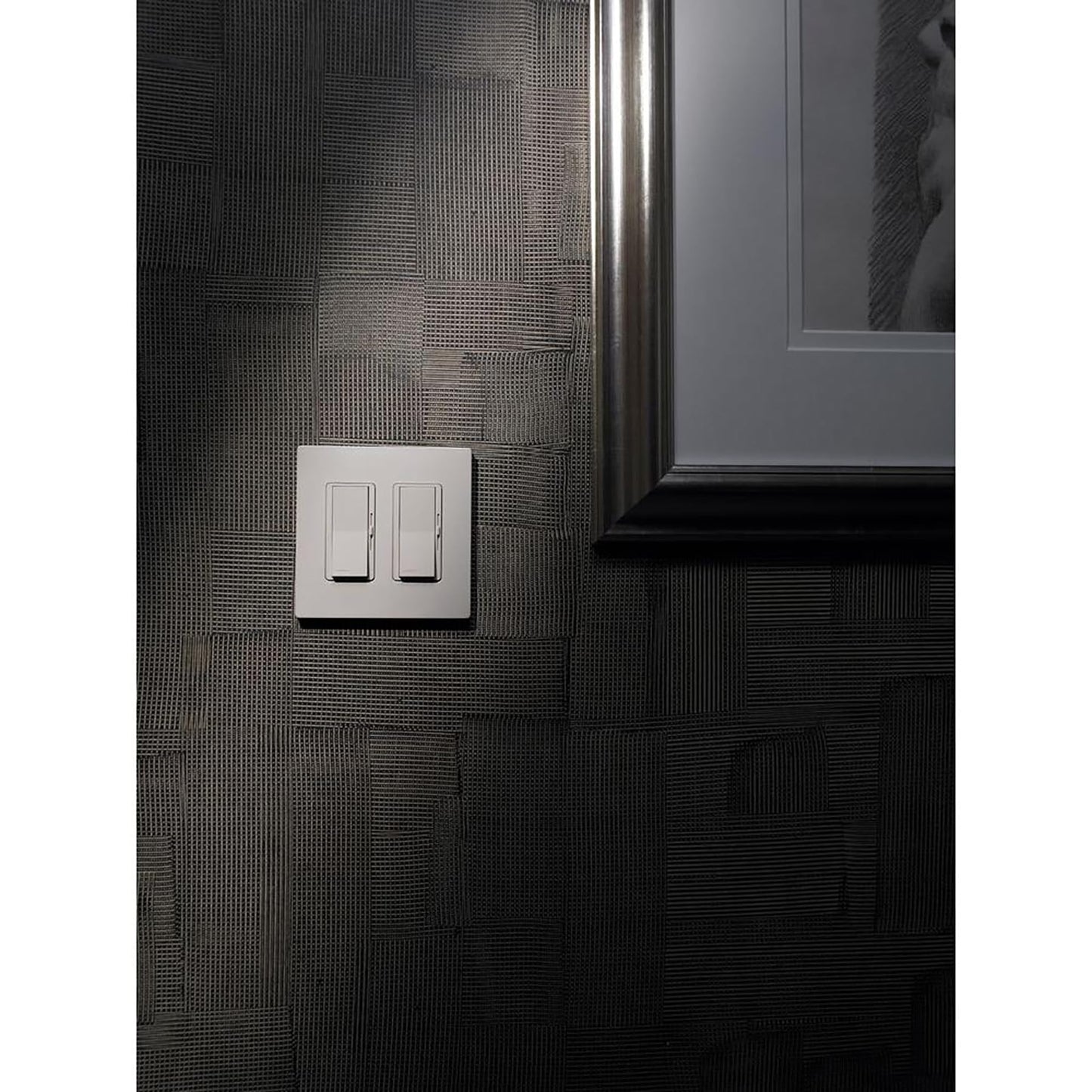 Lutron Claro 2 Gang Decorator/Rocker Wallplate, Gloss, Gray (1-Pack) | CW-2-GR