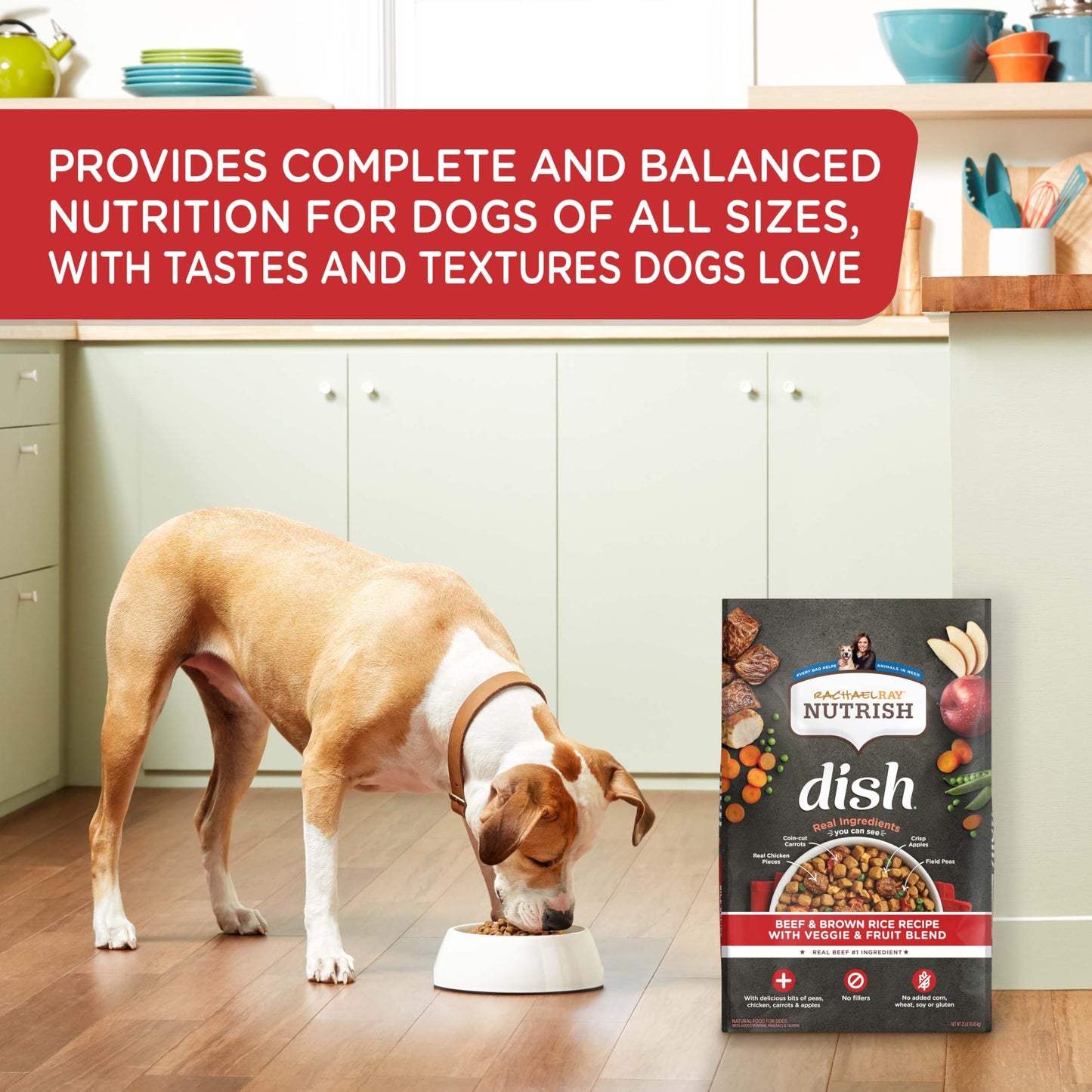 Rachael Ray Nutrish Dish Premium Dry Dog Food, Chicken & Brown Rice Recipe with Veggies & Fruit, 23 Pounds