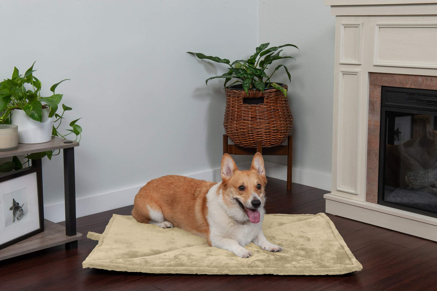 Furhaven ThermaNAP Self-Warming Cat Bed for Indoor Cats & Small Dogs, Washable & Reflects Body Heat - Quilted Faux Fur Reflective Bed Mat - Gray, Small