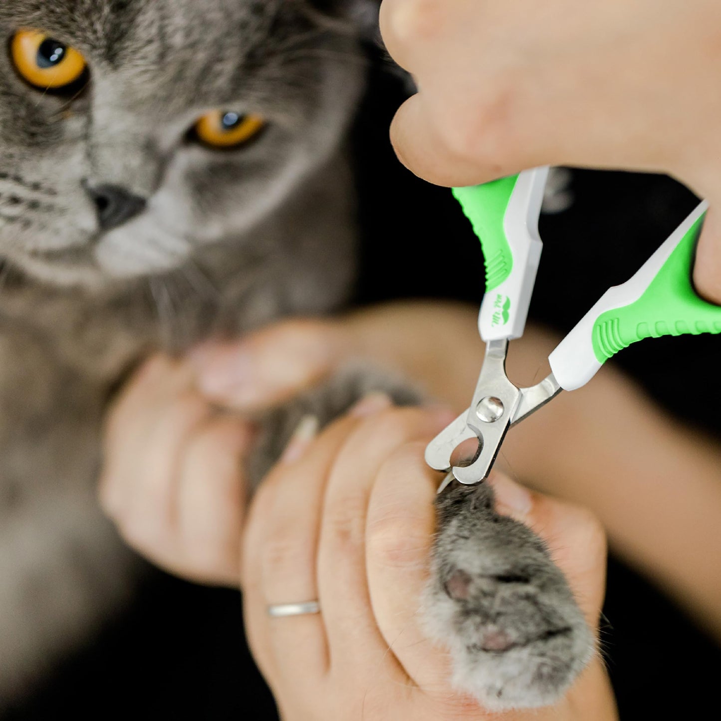 Mr. Pen- Cat Nail Clipper, Kitten Nail Trimmers, Pet Nail Cutter