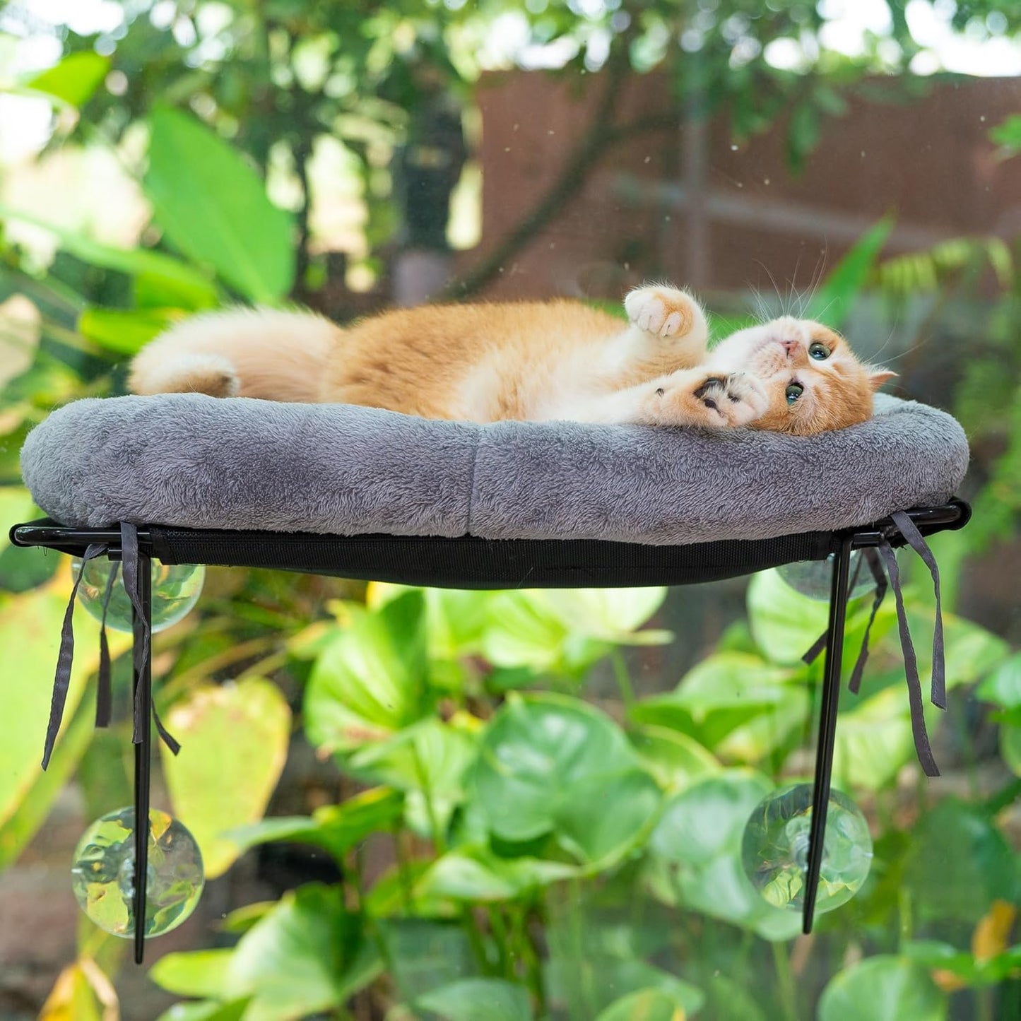 ROOVE Cat Window Perch – Luxury Ultra-Soft & Cozy Hammock for Indoor Cats and Kittens, Sturdy Metal Frame with 4 Strong Suction Cups, Comfortable Window Seat for Resting, Observing,and Lounging (Grey)