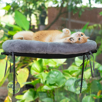 ROOVE Cat Window Perch – Luxury Ultra-Soft & Cozy Hammock for Indoor Cats and Kittens, Sturdy Metal Frame with 4 Strong Suction Cups, Comfortable Window Seat for Resting, Observing,and Lounging (Grey)