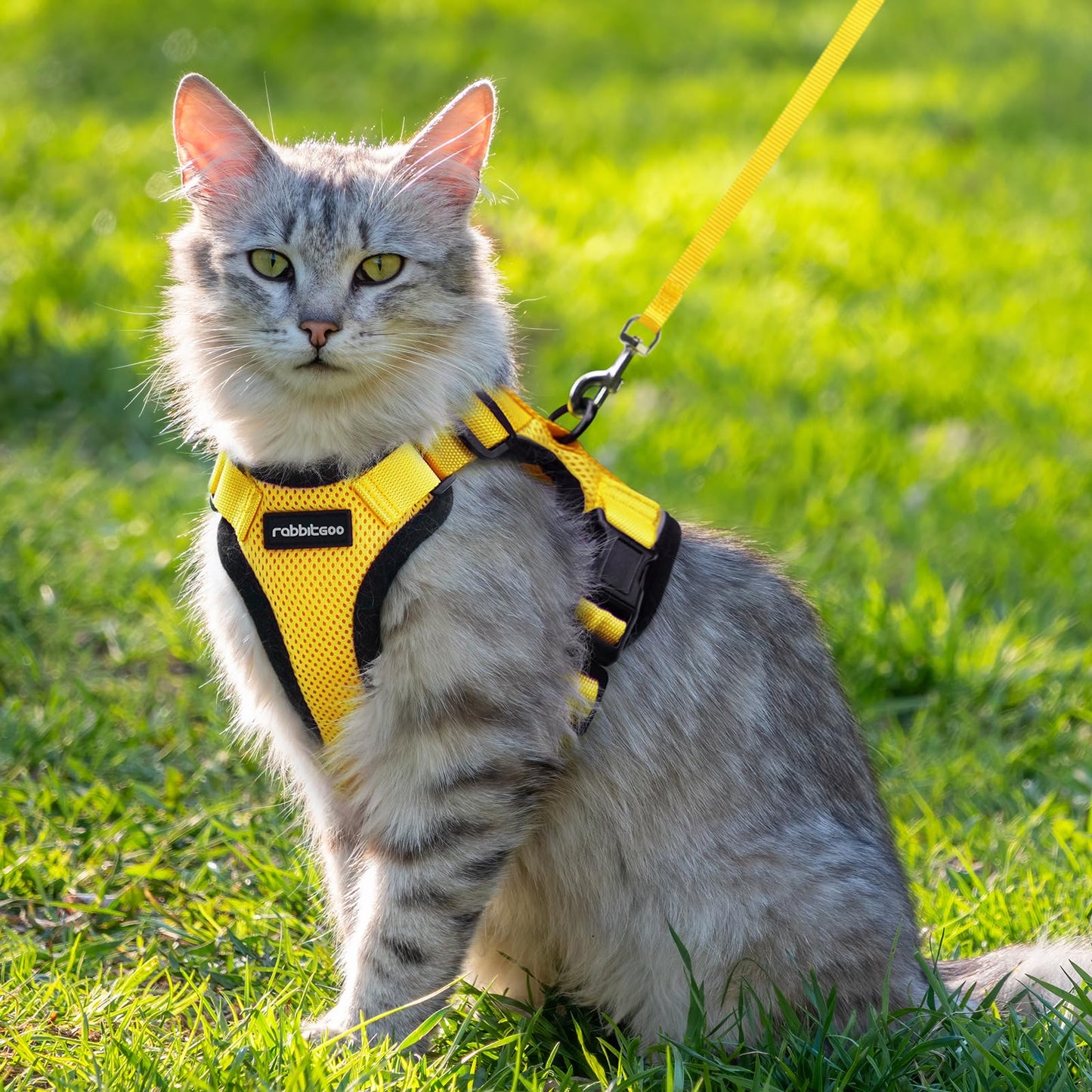 rabbitgoo Cat Harness and Leash for Walking, Escape Proof Soft Adjustable Vest Harnesses for Cats, Easy Control Breathable Reflective Strips Jacket, Black, XS