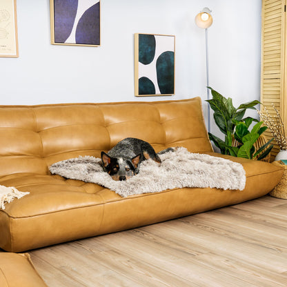 Furhaven - Manta impermeable y lavable para perros y gatos de interior, hecha en piel sintética de pelo largo sintético y terciopelo en color madera, XL, gris niebla