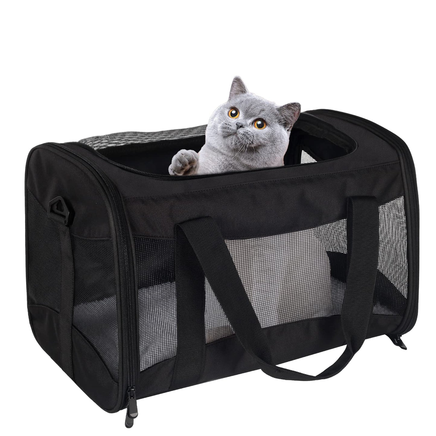 Cat Carrying Case Pet Dog Carrier Soft-Sided Cat Bag Airline Approved, Pet Travel Carrier Up to 15 Lbs, Collapsible Cat Carrier Dog Carrier for Medium Cats Small Cats Dogs(17x11x11 Green)