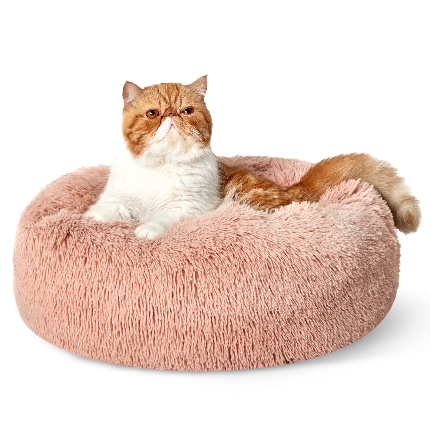 Bedsure Calming Cat Beds for Indoor Cats - Small Cat Bed Washable 20 inches, Anti-Slip Round Fluffy Plush Faux Fur Pet Bed, Fits up to 15 lbs Pets, Camel