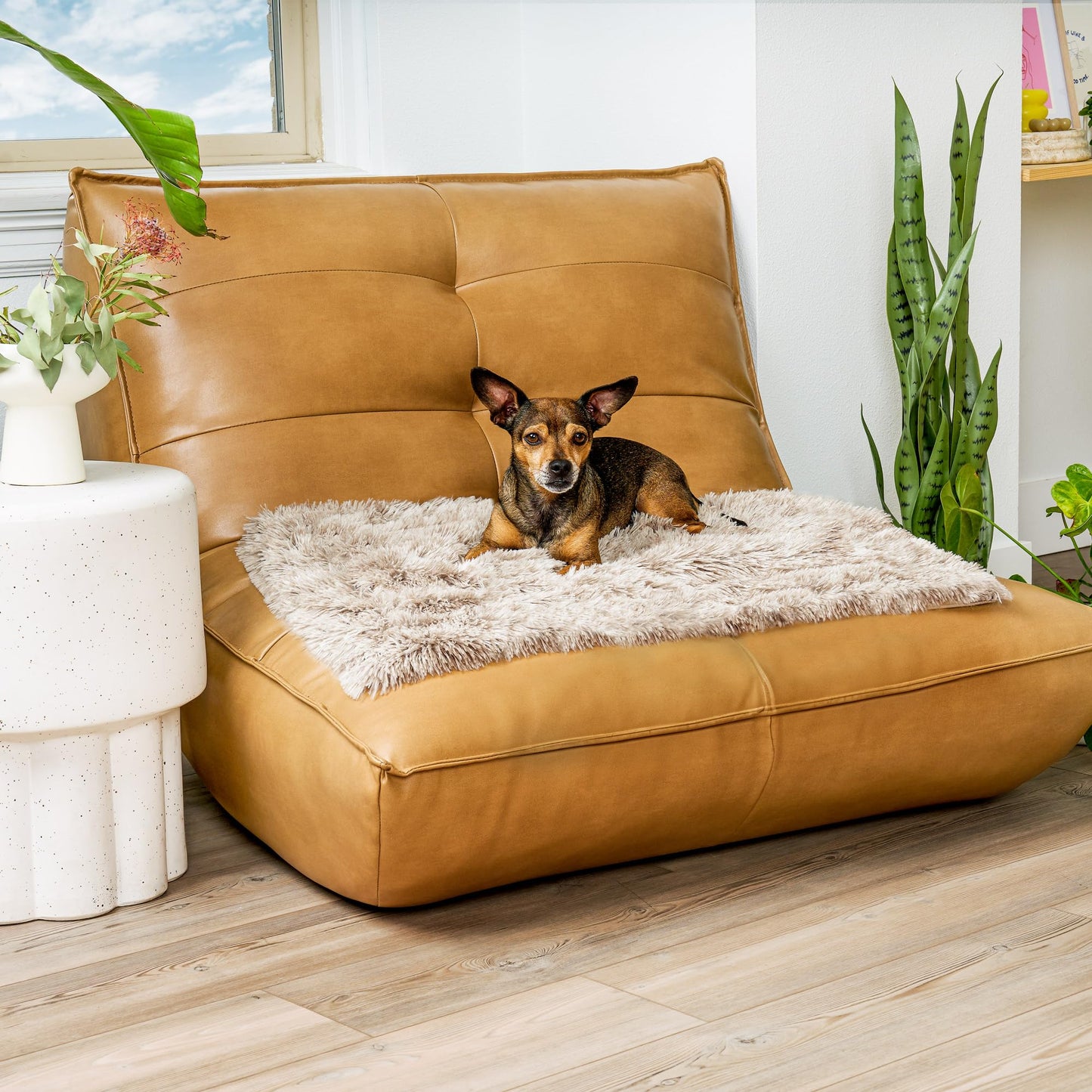 Furhaven - Manta impermeable y lavable para perros y gatos de interior, hecha en piel sintética de pelo largo sintético y terciopelo en color madera, XL, gris niebla
