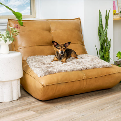 Furhaven - Manta impermeable y lavable para perros y gatos de interior, hecha en piel sintética de pelo largo sintético y terciopelo en color madera, XL, gris niebla