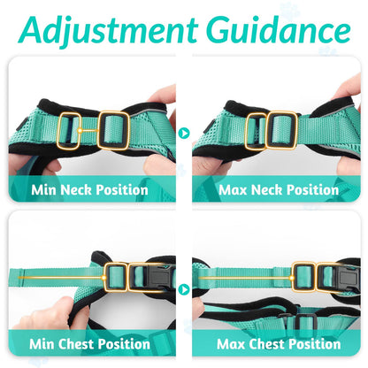 rabbitgoo Cat Harness and Leash for Walking, Escape Proof Soft Adjustable Vest Harnesses for Cats, Easy Control Breathable Reflective Strips Jacket, Black, XS