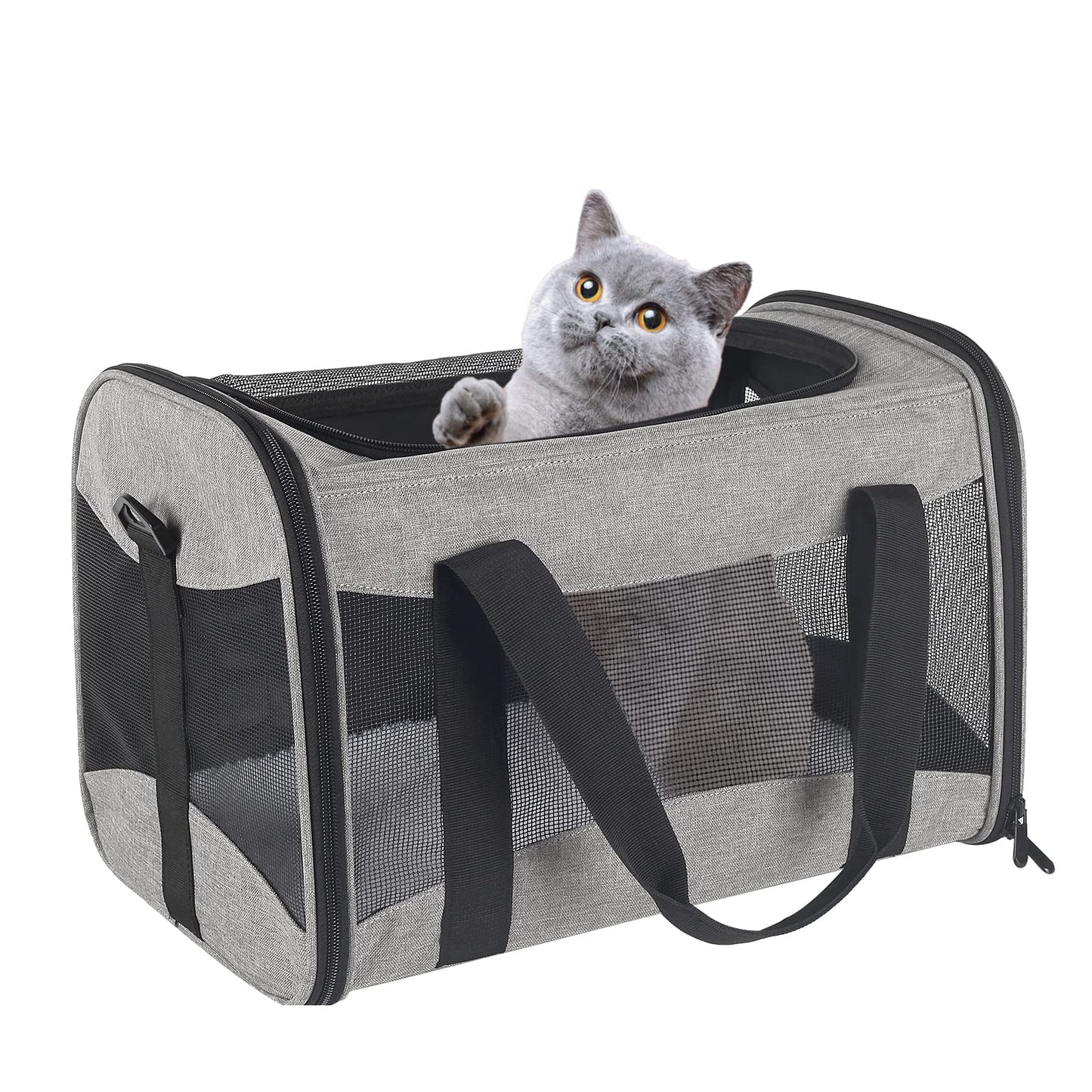 Cat Carrying Case Pet Dog Carrier Soft-Sided Cat Bag Airline Approved, Pet Travel Carrier Up to 15 Lbs, Collapsible Cat Carrier Dog Carrier for Medium Cats Small Cats Dogs(17x11x11 Green)