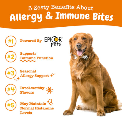 Suplemento inmune a las alergias para perros - Con Omega 3 Aceite de salmón salvaje de Alaska y EpiCor + Prebióticos y probióticos digestivos - Alergias estacionales + Anti picor y puntos calientes Apoyo a la piel - 90 masticables Golosinas