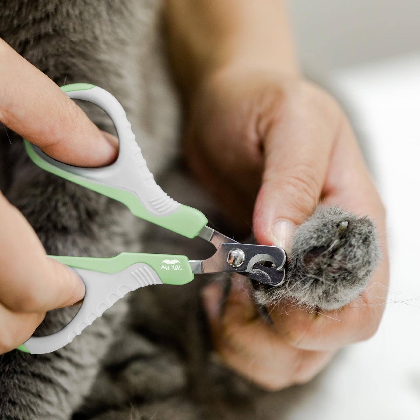 Mr. Pen- Cat Nail Clipper, Kitten Nail Trimmers, Pet Nail Cutter