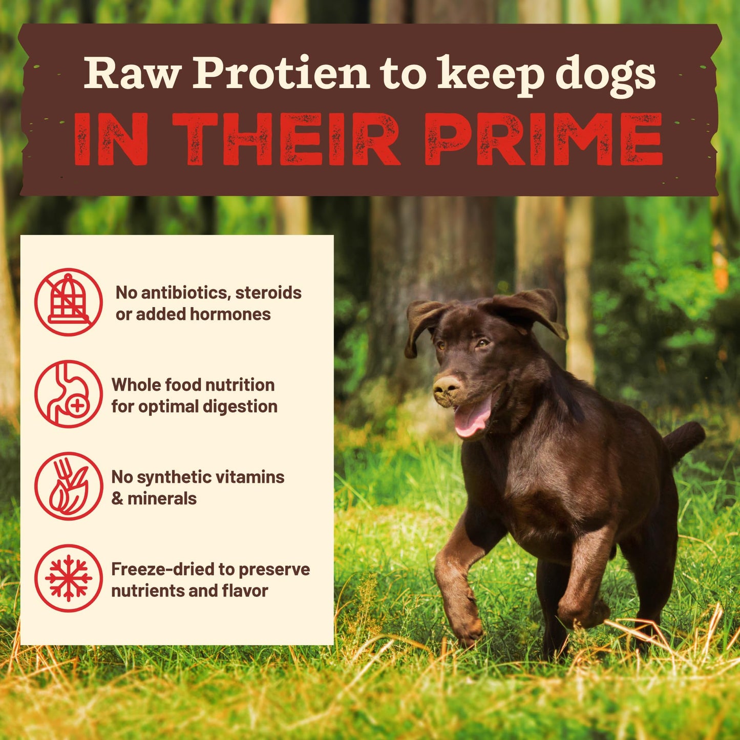 Primal Kibble in The Raw, Freeze Dried Dog Food, Puppy Recipe, Scoop & Serve, Made with Raw Protein, Whole Ingredient Nutrition, Crafted in The USA, Dry Dog Food 5.4 lb Bag