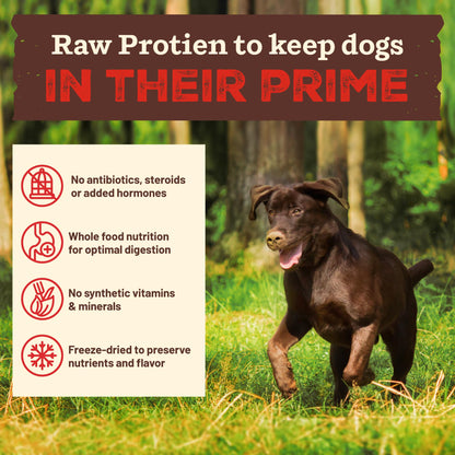 Primal Kibble in The Raw, Freeze Dried Dog Food, Puppy Recipe, Scoop & Serve, Made with Raw Protein, Whole Ingredient Nutrition, Crafted in The USA, Dry Dog Food 5.4 lb Bag