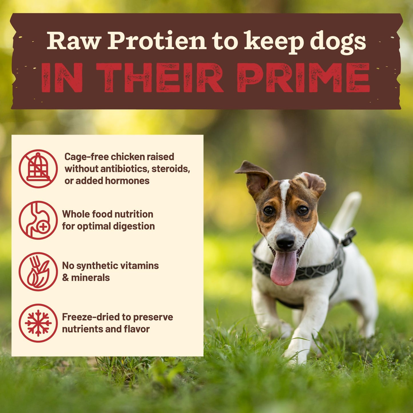 Primal Kibble in The Raw, Freeze Dried Dog Food, Puppy Recipe, Scoop & Serve, Made with Raw Protein, Whole Ingredient Nutrition, Crafted in The USA, Dry Dog Food 5.4 lb Bag