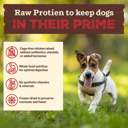 Primal Kibble in The Raw, Freeze Dried Dog Food, Puppy Recipe, Scoop & Serve, Made with Raw Protein, Whole Ingredient Nutrition, Crafted in The USA, Dry Dog Food 5.4 lb Bag