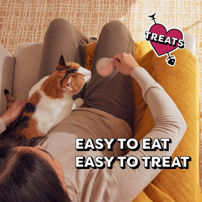 Temptations Lickable Spoons Adult Wet Cat Treat, 10 Grams, Variety Pack of 24