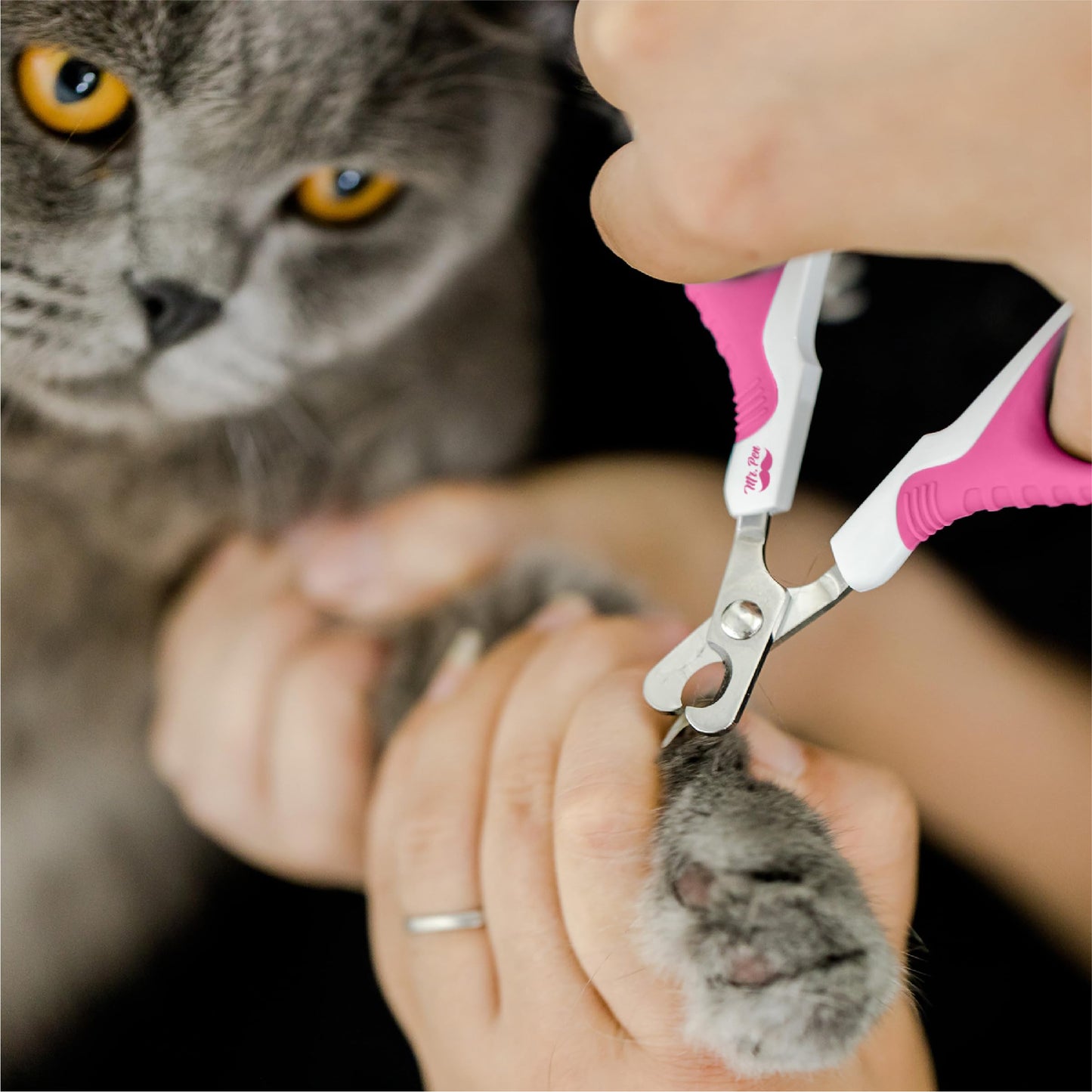 Mr. Pen- Cat Nail Clipper, Kitten Nail Trimmers, Pet Nail Cutter