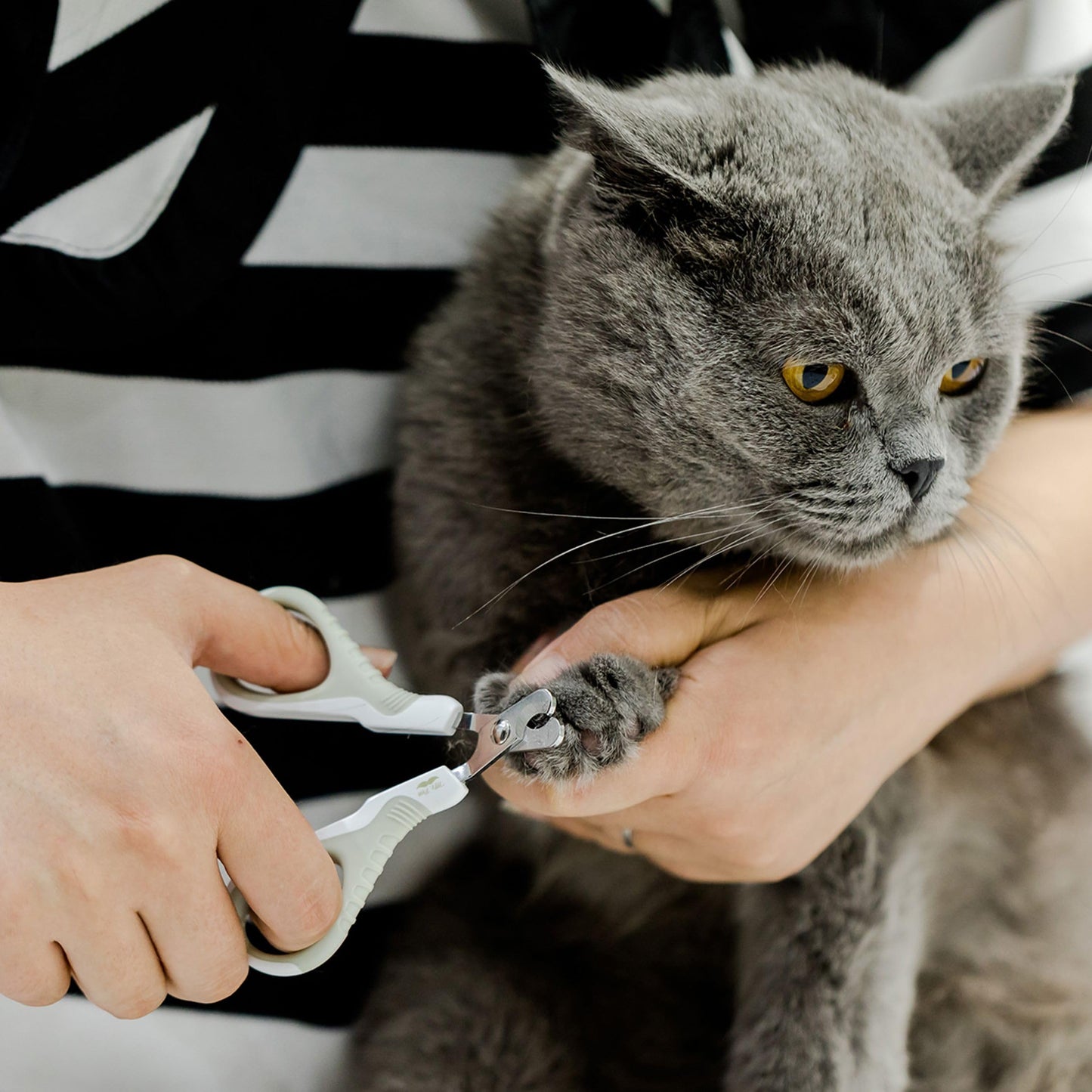 Mr. Pen- Cat Nail Clipper, Kitten Nail Trimmers, Pet Nail Cutter