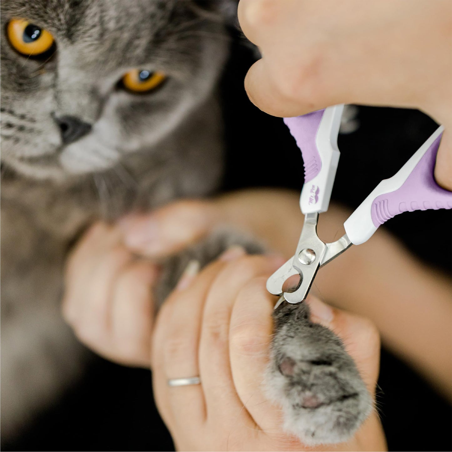 Mr. Pen- Cat Nail Clipper, Kitten Nail Trimmers, Pet Nail Cutter