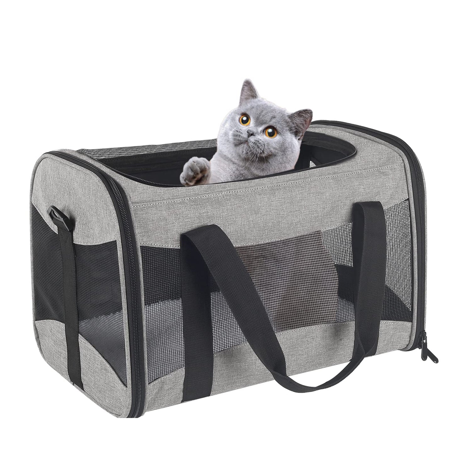 Cat Carrying Case Pet Dog Carrier Soft-Sided Cat Bag Airline Approved, Pet Travel Carrier Up to 15 Lbs, Collapsible Cat Carrier Dog Carrier for Medium Cats Small Cats Dogs(17x11x11 Green)