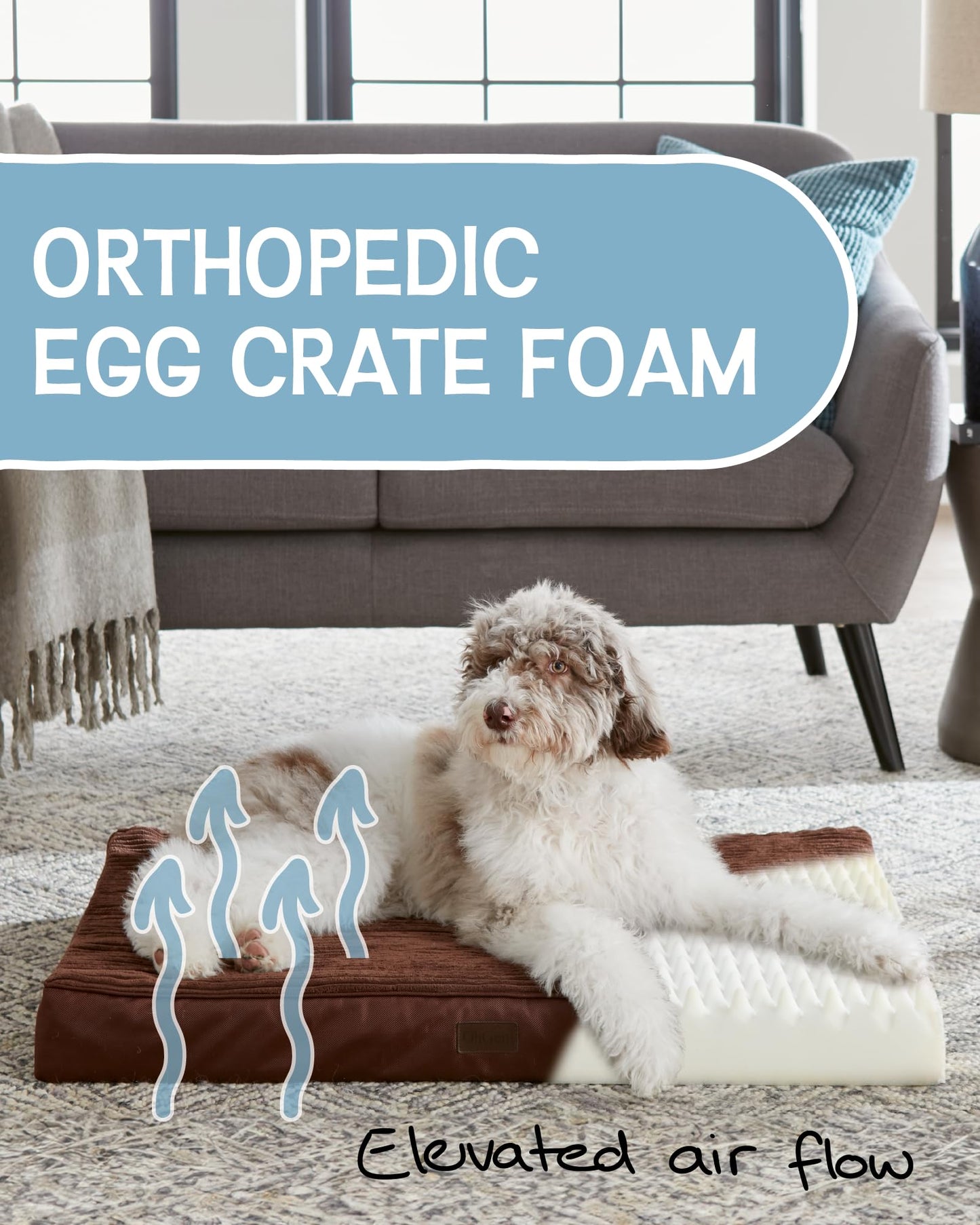 OhGeni 35 Inch Orthopedic Waterproof & Machine Washable Dog Bed for Medium Large Pets, 20D Egg Crate Foam Stable Support, Non-Slip Bottom and Removable Cover, Tear-Resistant Invisible Zipper(Gray)