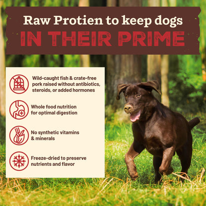 Primal Kibble in The Raw, Freeze Dried Dog Food, Puppy Recipe, Scoop & Serve, Made with Raw Protein, Whole Ingredient Nutrition, Crafted in The USA, Dry Dog Food 5.4 lb Bag