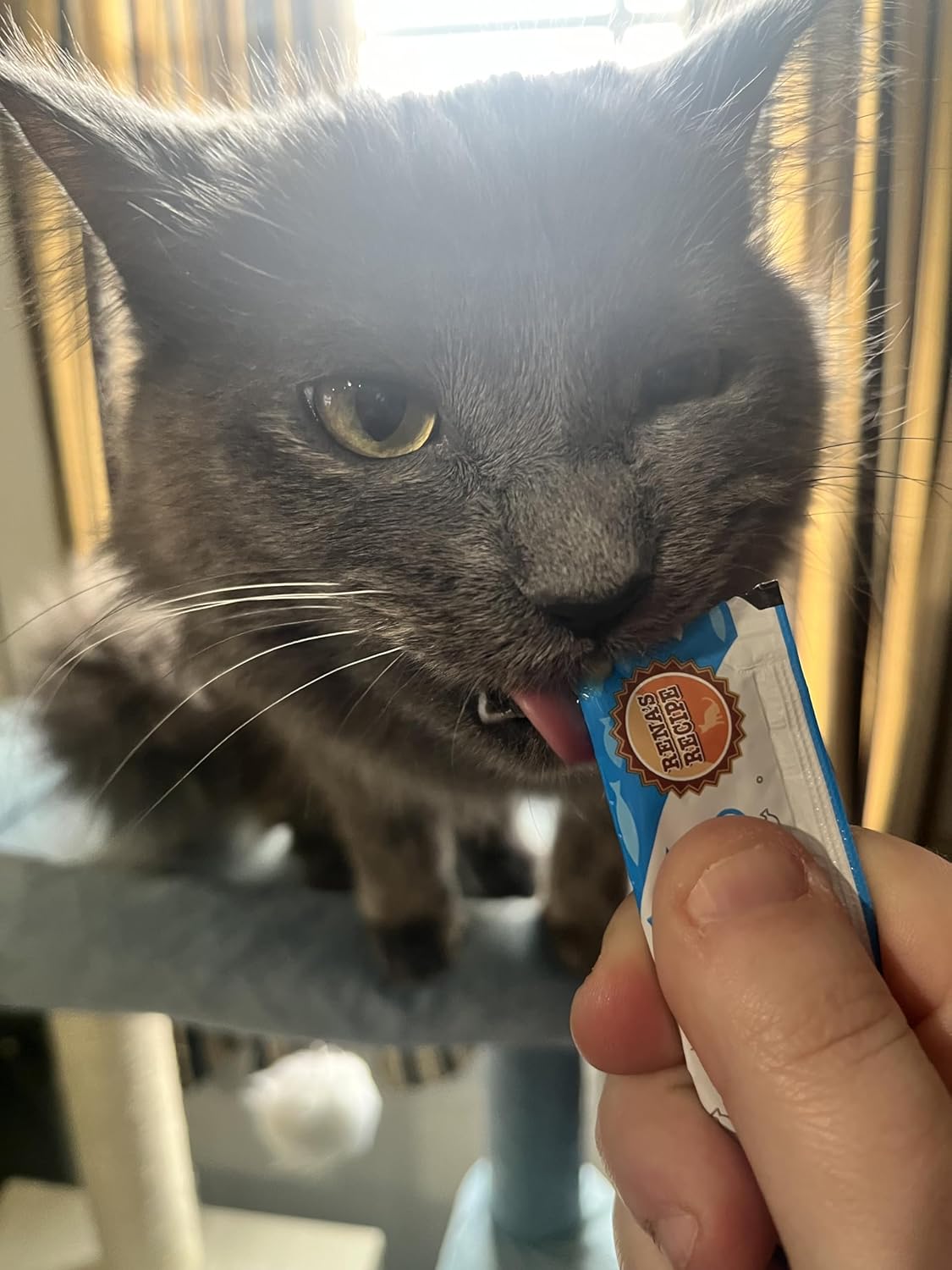 Rena's Recipe Kitty Licks Variety Pack (28 Tubes / 7 Flavor Variations of Chicken, Tuna, and Seafood)